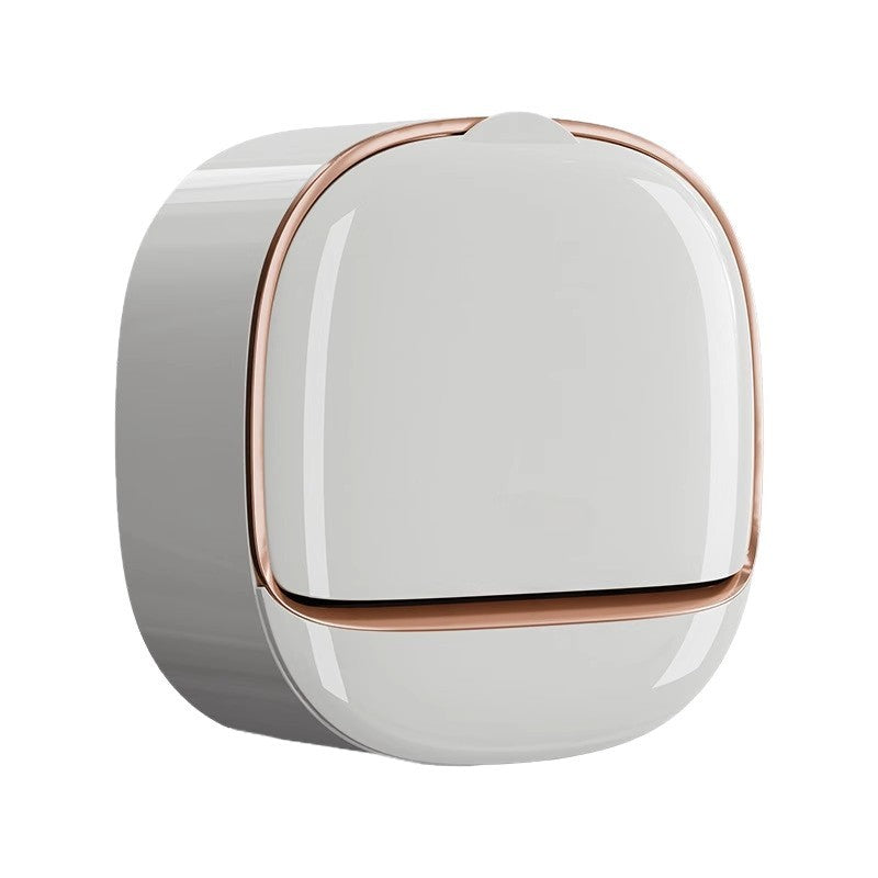 Household soap dish