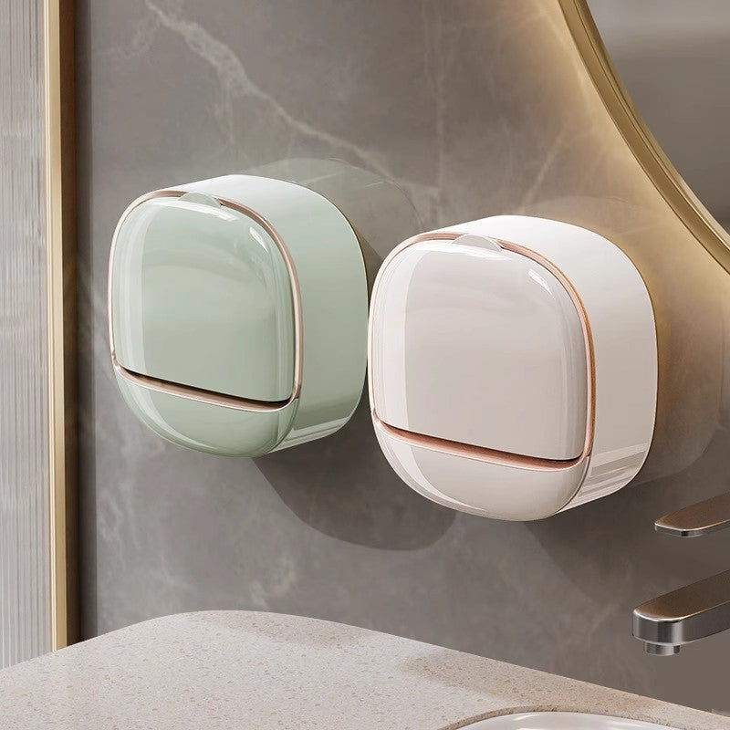 Household soap dish