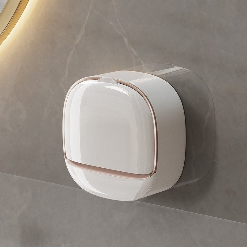 Household soap dish