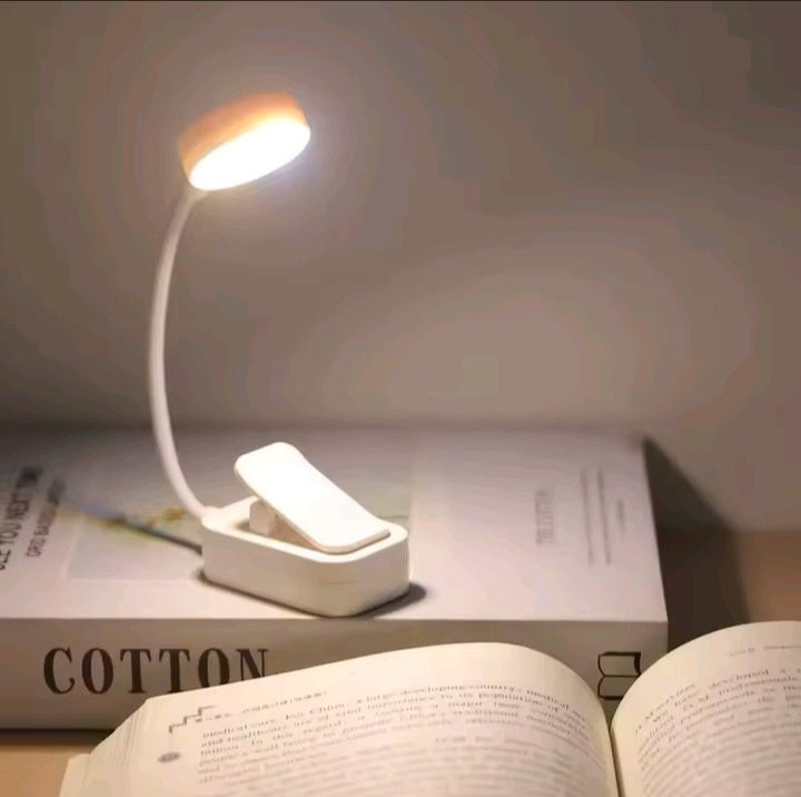Mini book light