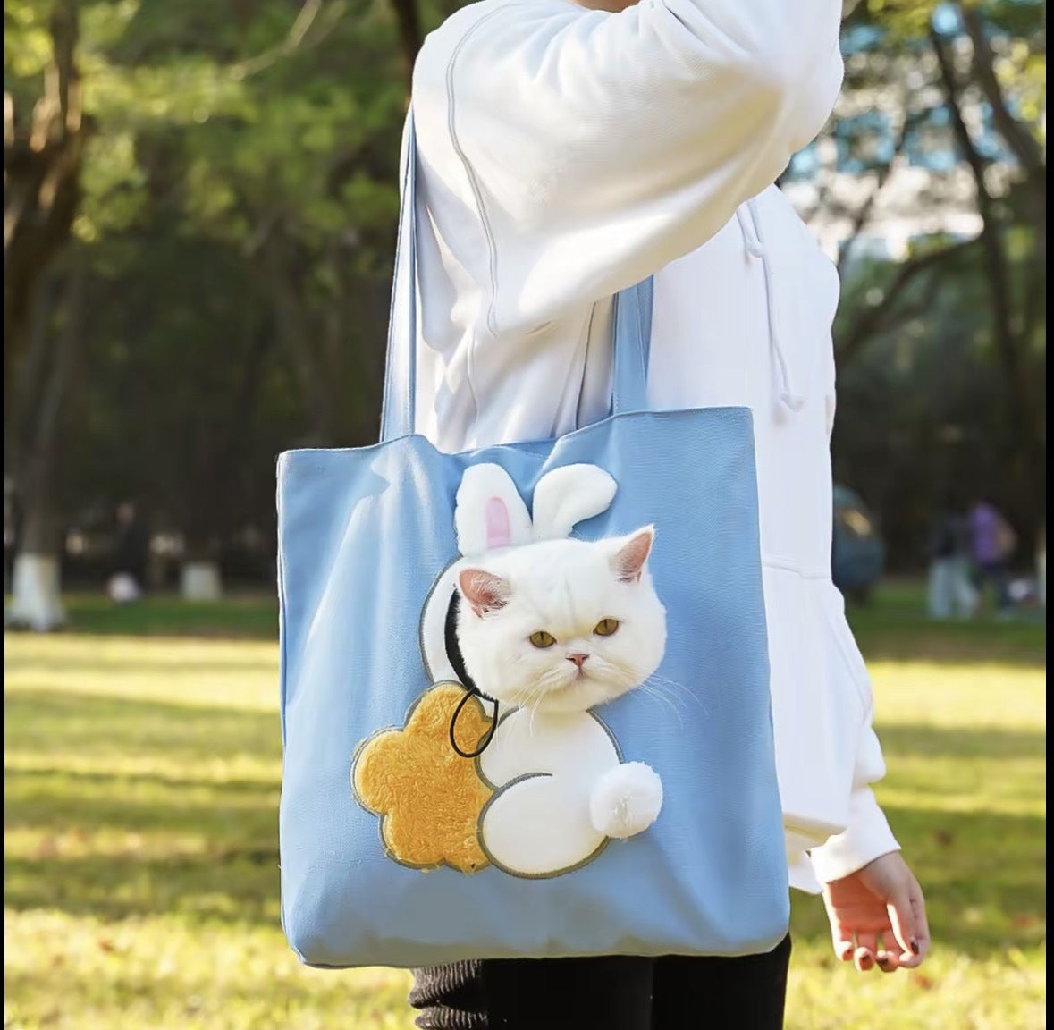 Pet carrier bag